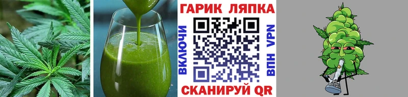 Cannafood конопля  Великий Новгород 
